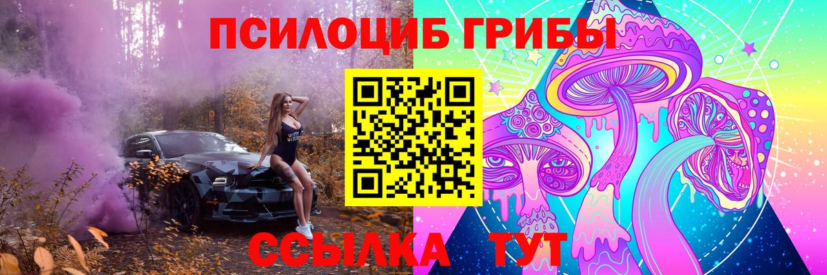 Ульяновск  Псилоцибиновые грибы MAGIC MUSHROOMS  Вход с VPN 